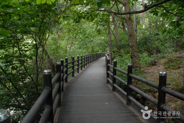 소백산국립공원(단양군)