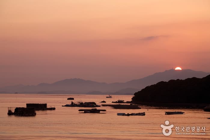 전남_강진_마량항과 23번 국도 여행 10