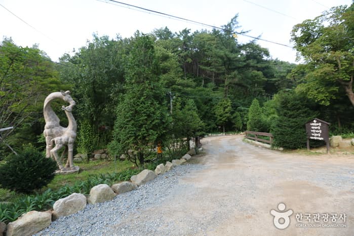 Hoengseong Natural Recreation Forest (횡성자연휴양림)