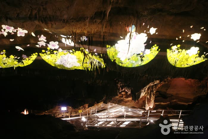 강원_동해_도심 속 숨겨진 신비의 지하 세계, 동해 천곡황금박쥐동굴_08