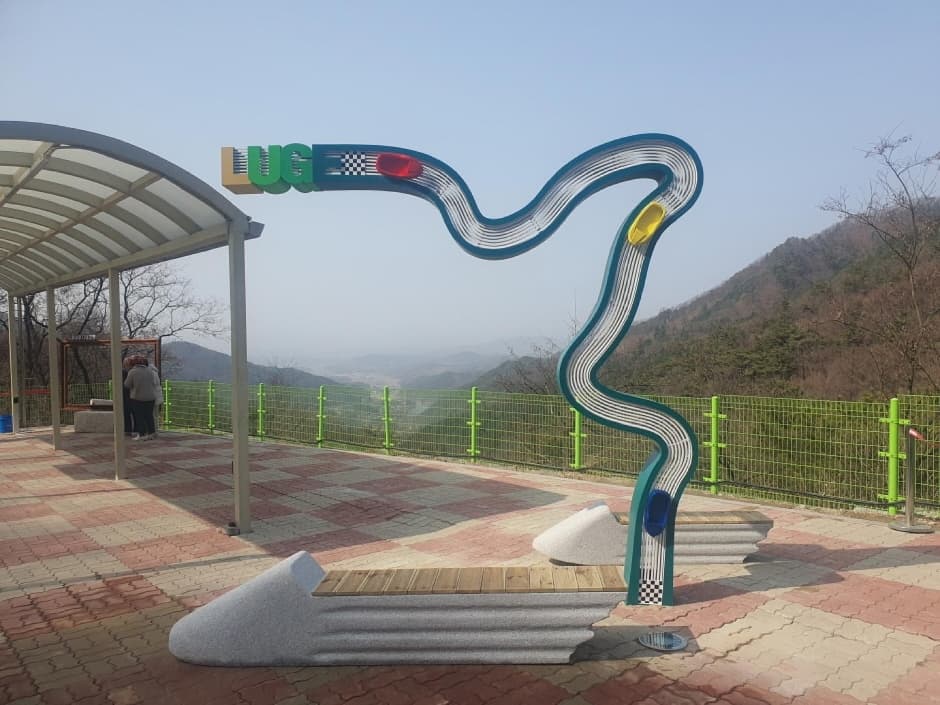 횡성루지체험장8