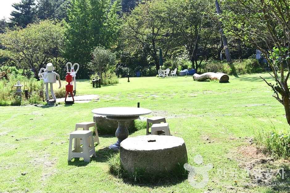 전남_보성_카페 위로 (23)