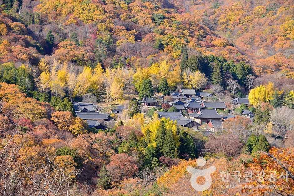 조계산도립공원 (9)