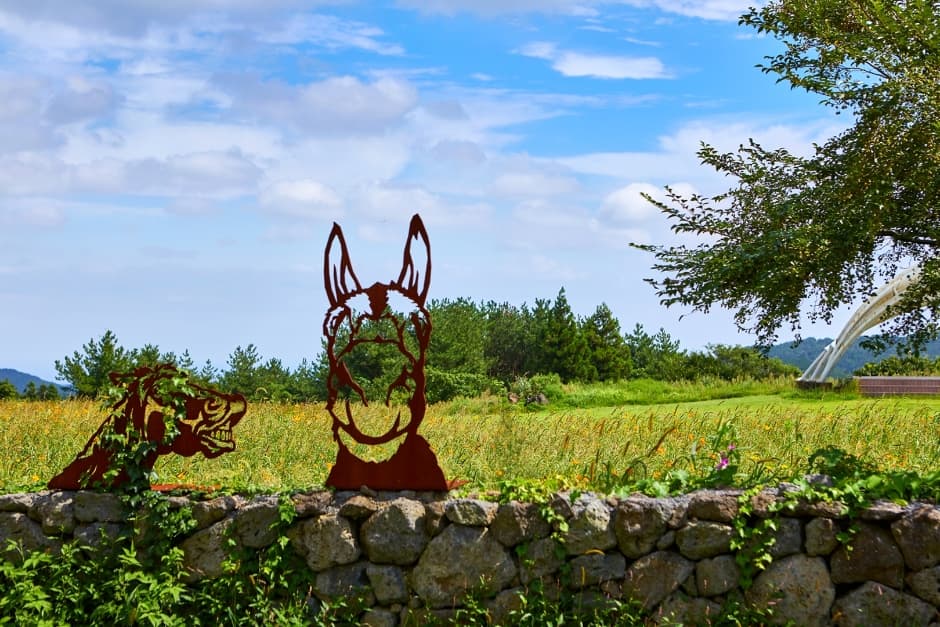 조랑말체험공원 (5)