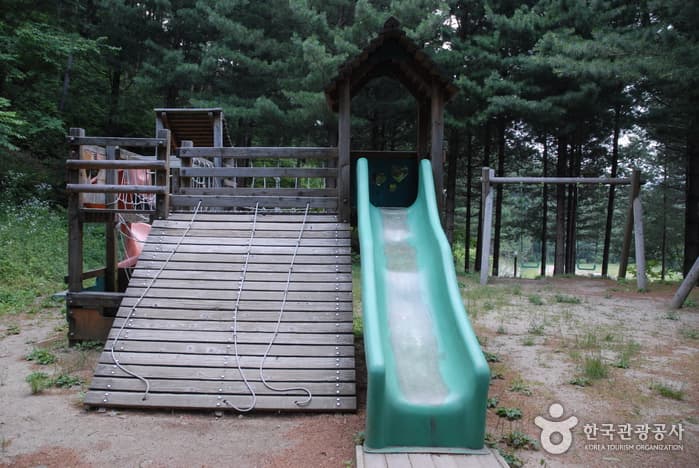 청옥산자연휴양림_11