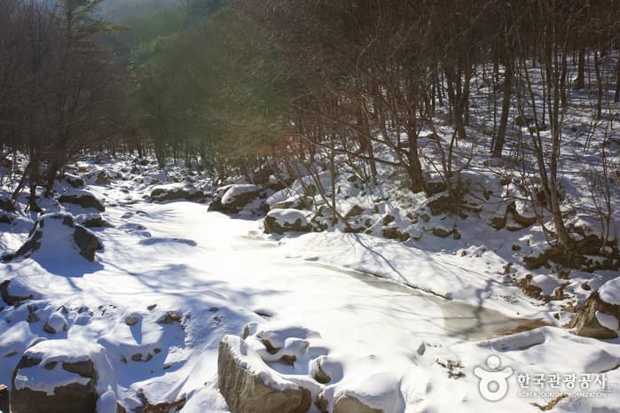 구천동 계곡_012