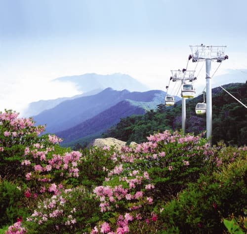 무주 덕유산리조트_(3)