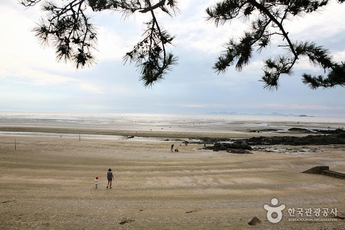 전북_고창_가족여행에 최적화된 여름 휴가지, 고창 동호해수욕장 07