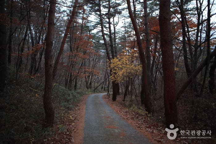 경북_문경_선유동계곡(문경)05