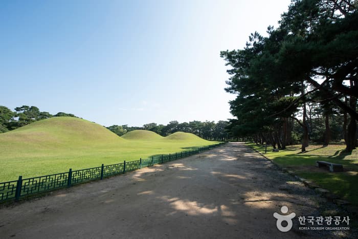 청사초롱_경북_경주_온기 가득한 도시의 따뜻한 방_경주오릉01