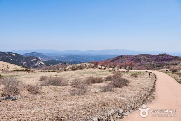 황매산군립공원_03