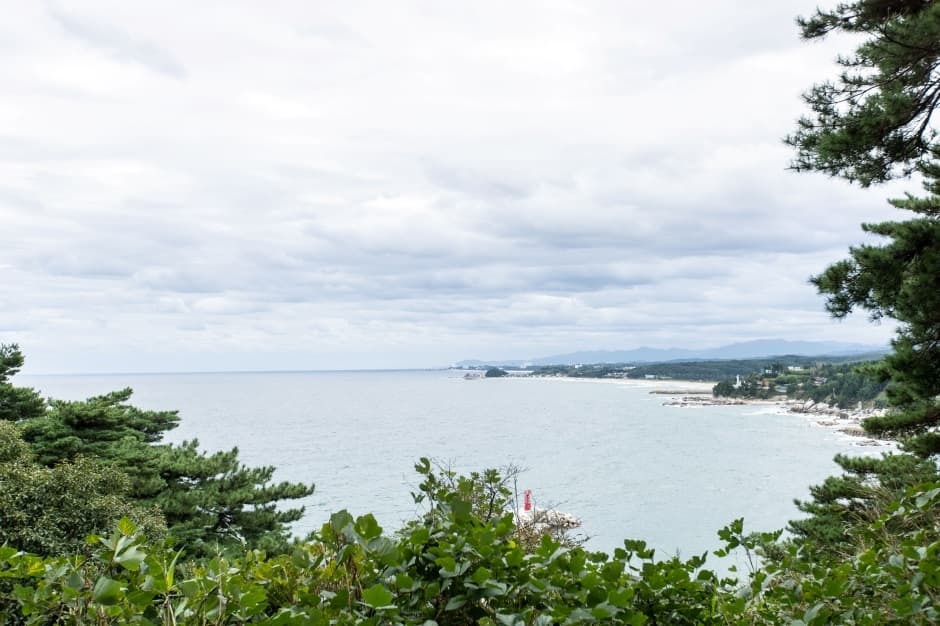 죽도정_8