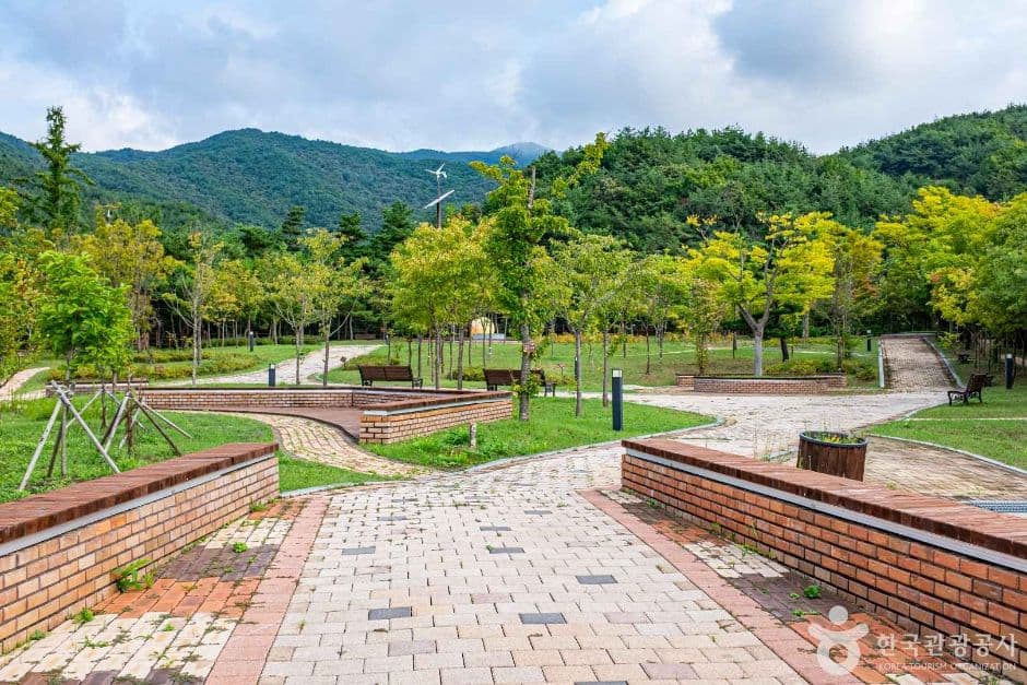 경북_영주_소백산 생태탐방원 (3)