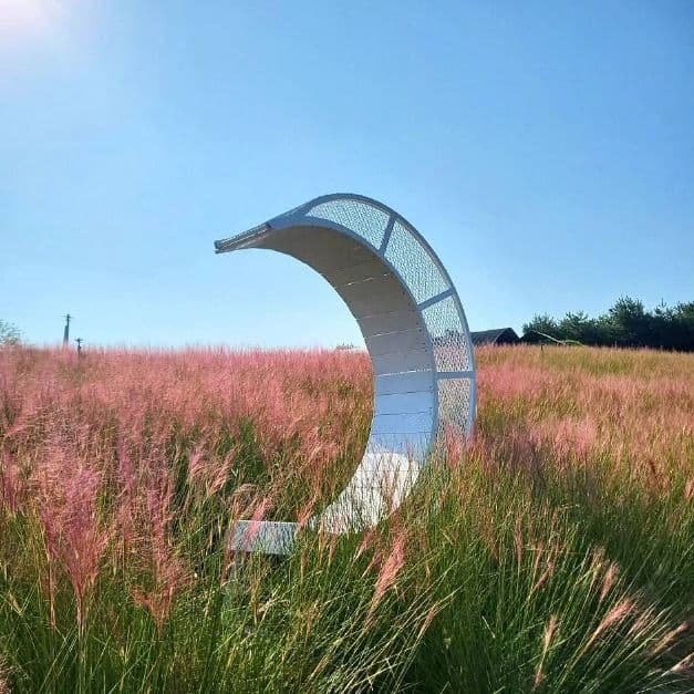 2025 고창청농원 핑크뮬리가든 4