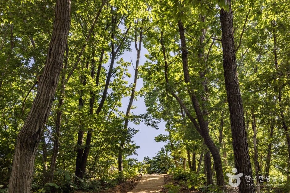 강화_아트팩토리 참기름 (18)