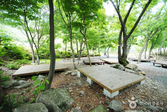 운문산자연휴양림_02