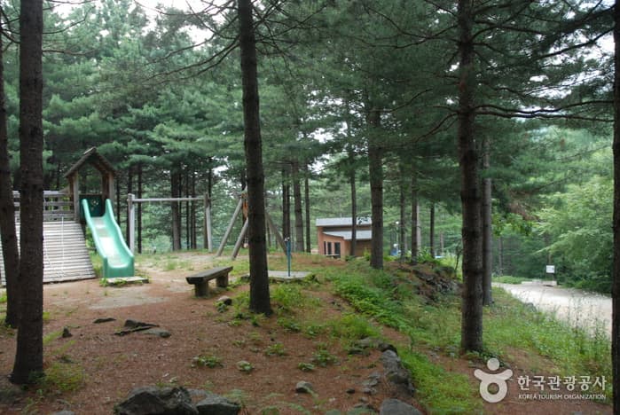 청옥산자연휴양림_12