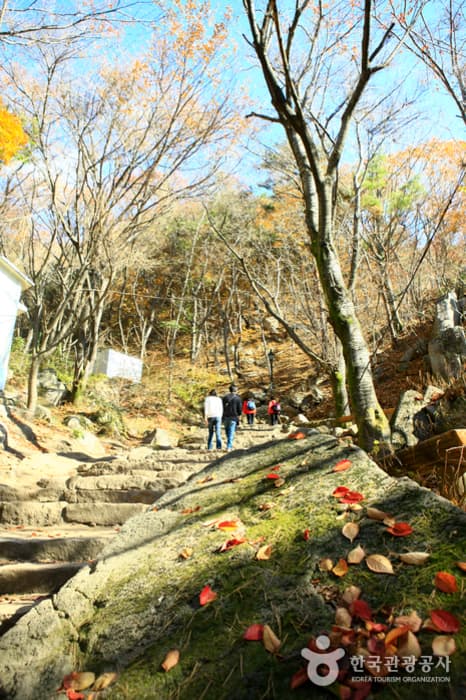 팔공산도립공원(등산로)_1