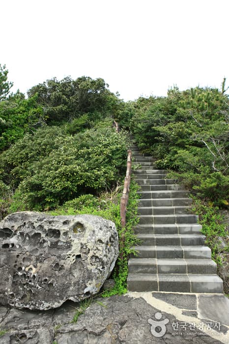 제주올레 5코스 큰엉 산책로_10