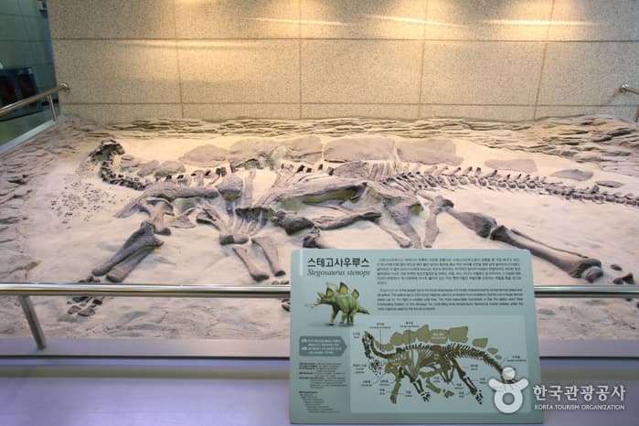 지질박물관_13