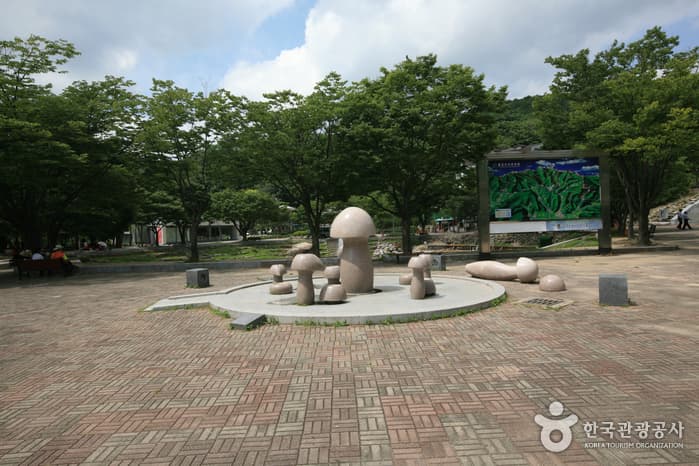 팔공산자연공원