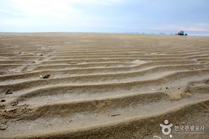 전북_고창_가족여행에 최적화된 여름 휴가지, 고창 동호해수욕장 08