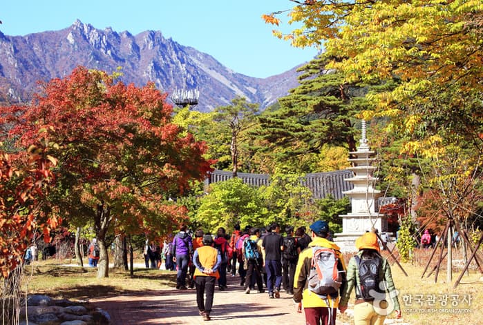 설악산 단풍  
