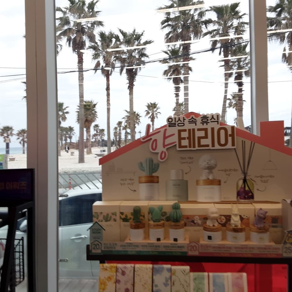 올리브영 제주함덕_4