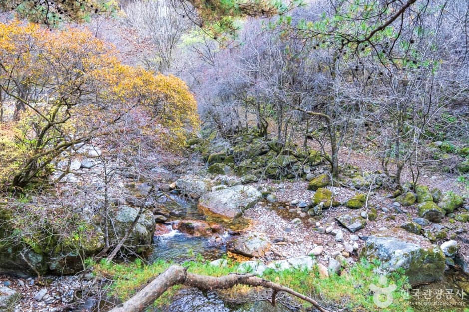 남천계곡 (10)