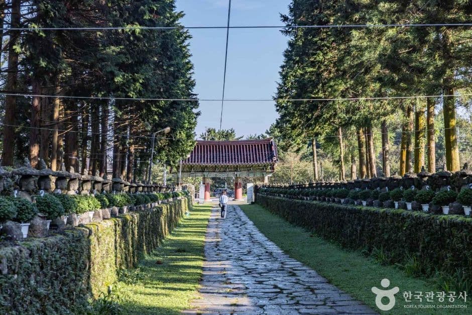 제주_제주_관음사(제주) (5)