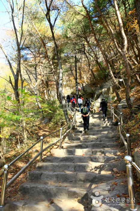 팔공산도립공원(등산로)_2
