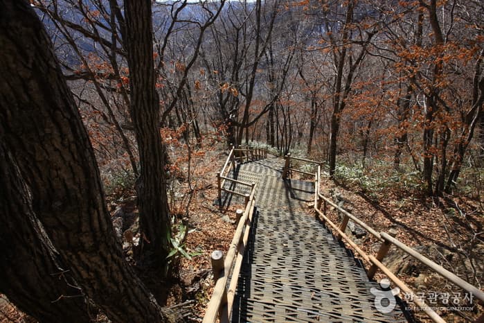 백련사~덕유산 향적봉 등산로_10