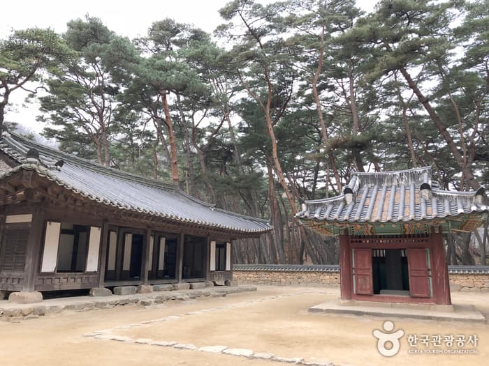 강원_영월_청령포10