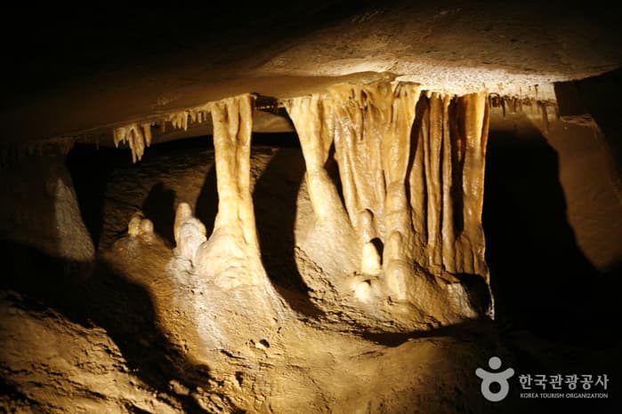 강원_동해_도심 속 숨겨진 신비의 지하 세계, 동해 천곡황금박쥐동굴_07