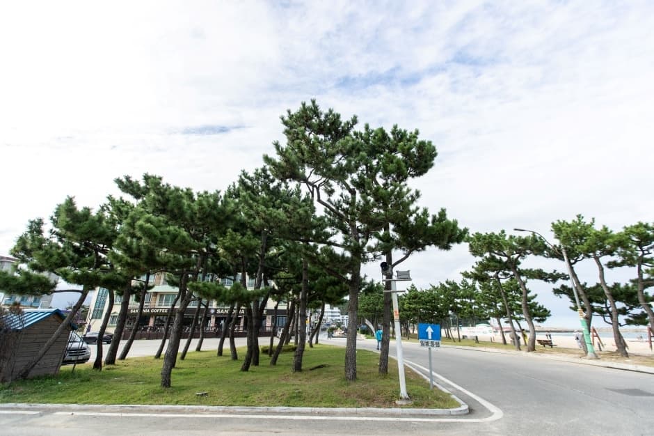 낙산해수욕장_2