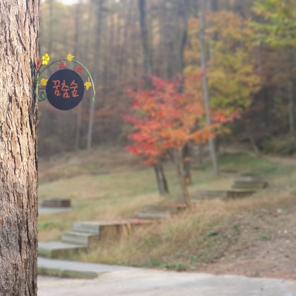 깊은산속 옹달샘_꿈춤숲