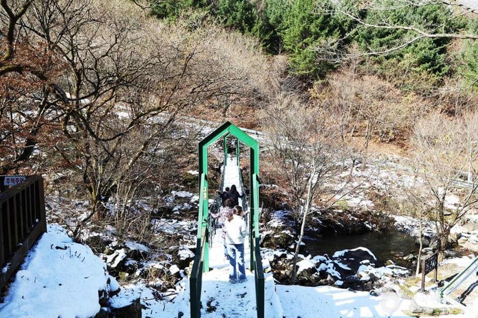 경남_함양_국립 지리산자연휴양림 (5)