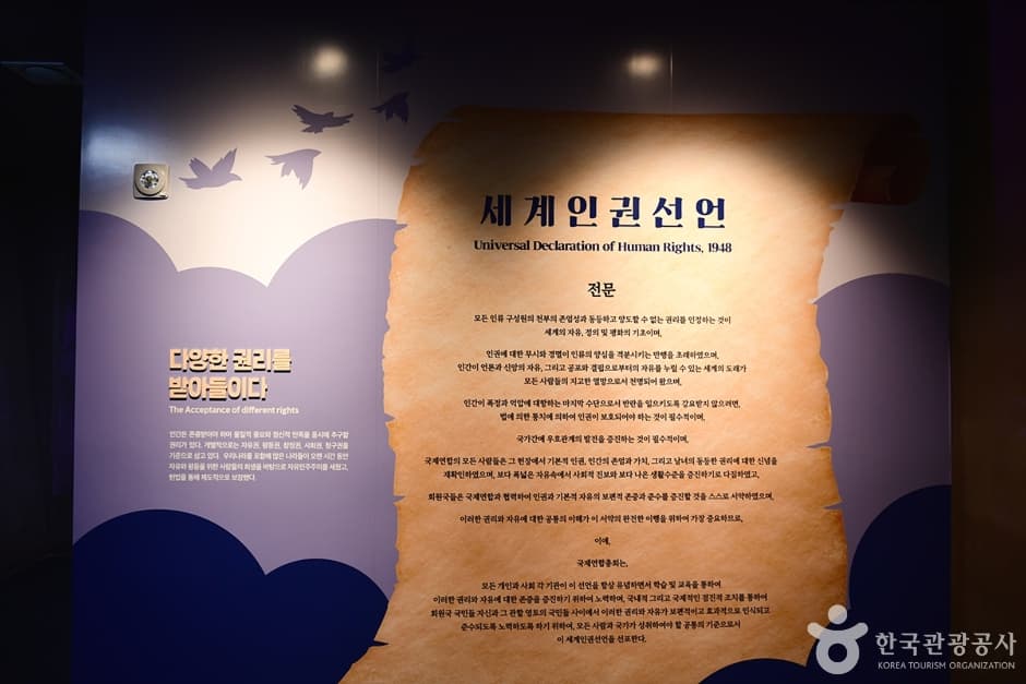 솔로몬로파크 (16)