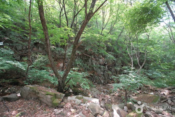 조령산자연휴양림_05