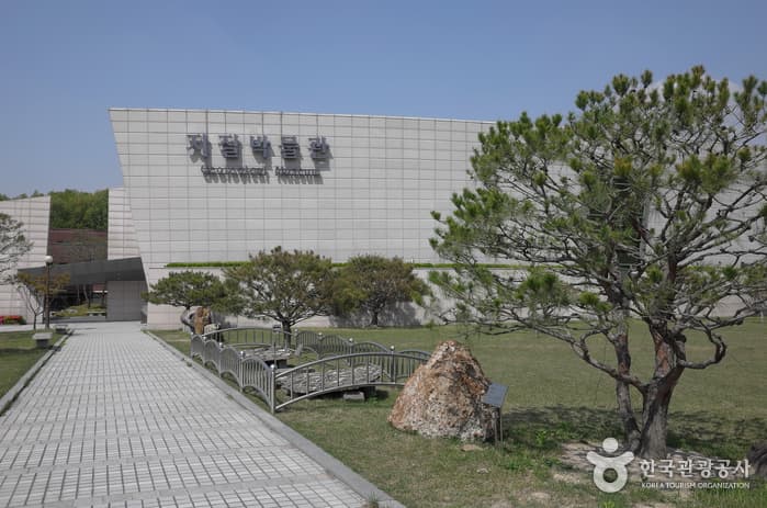 진주, 고흥, 대전 운석 여행지13