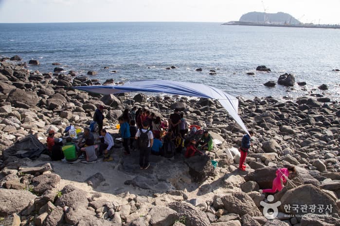 제주_정방폭포02