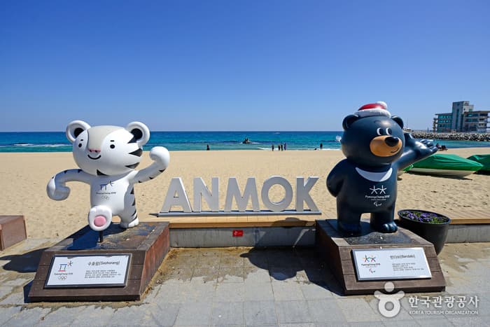 관광지_강원_강릉_강릉커피거리_02