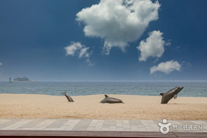 속초해수욕장 8