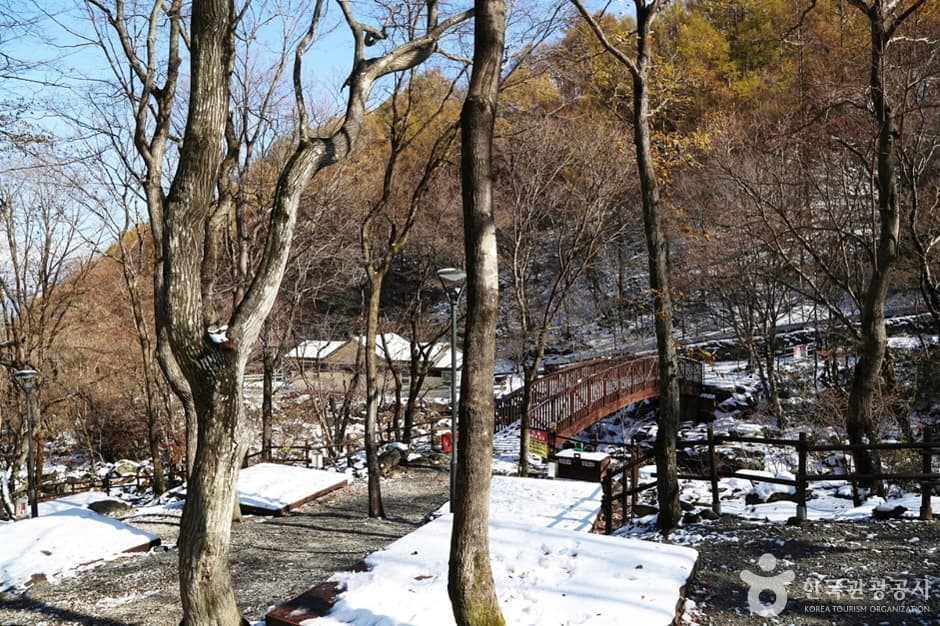 경남_함양_국립 지리산자연휴양림 (6)