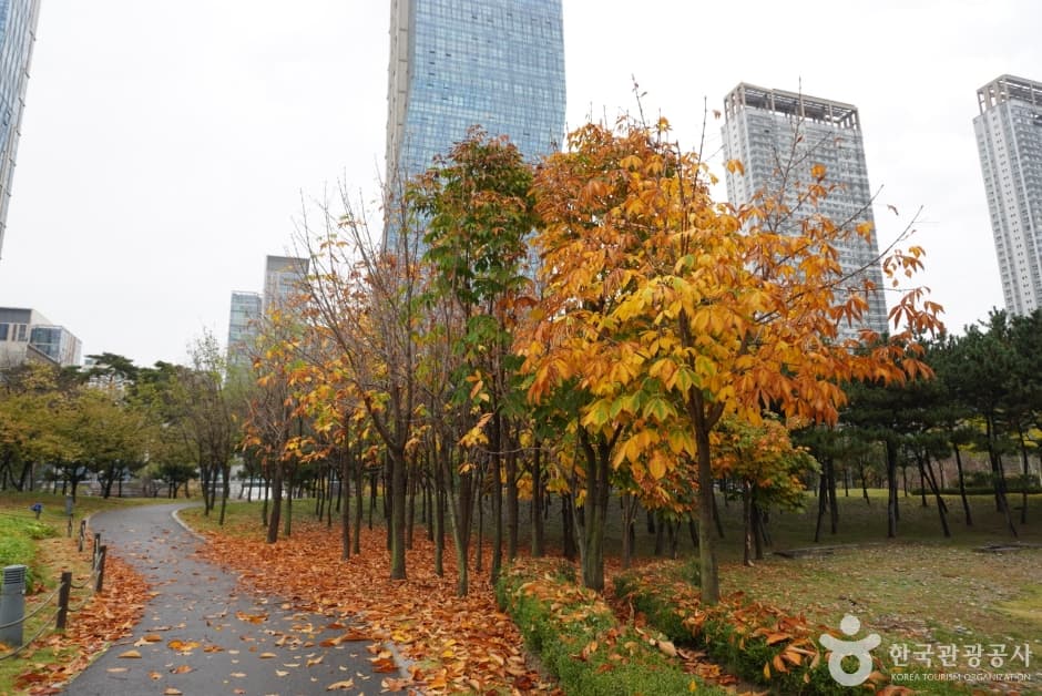 송도 센트럴파크_7