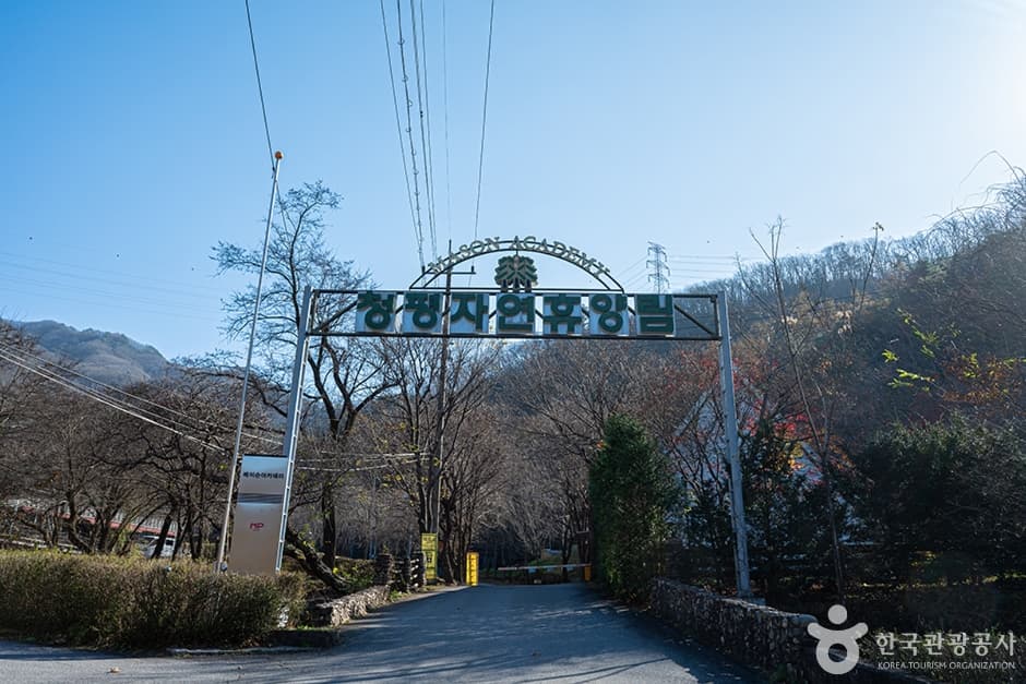 청평자연휴양림 (1)