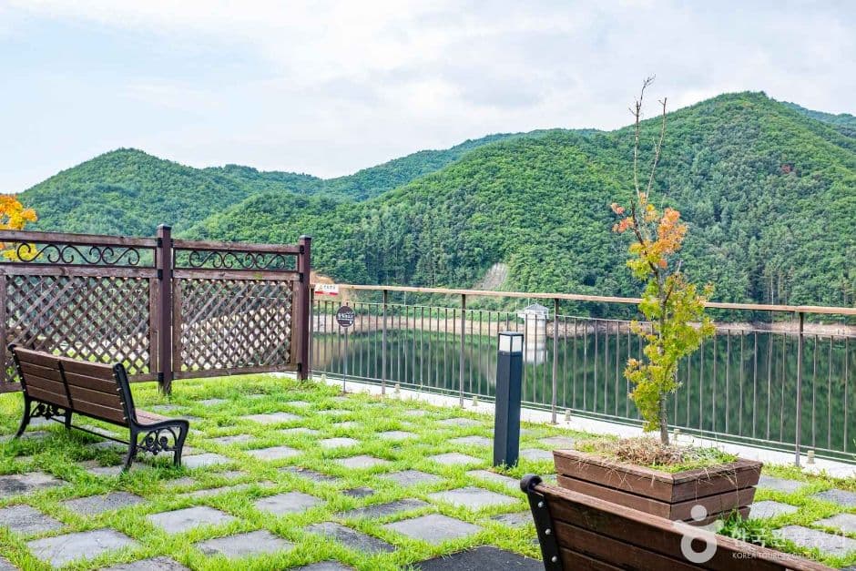 경북_영주_소백산 생태탐방원 (6)