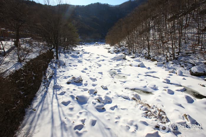 구천동 계곡_016