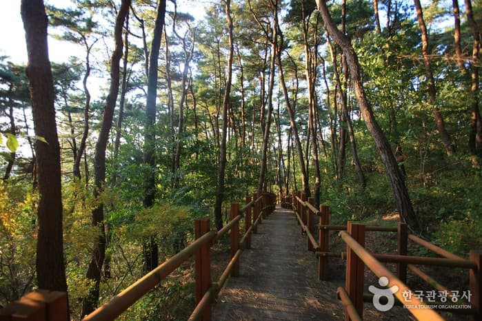 전라북도_정읍시_충렬사(정읍)_042