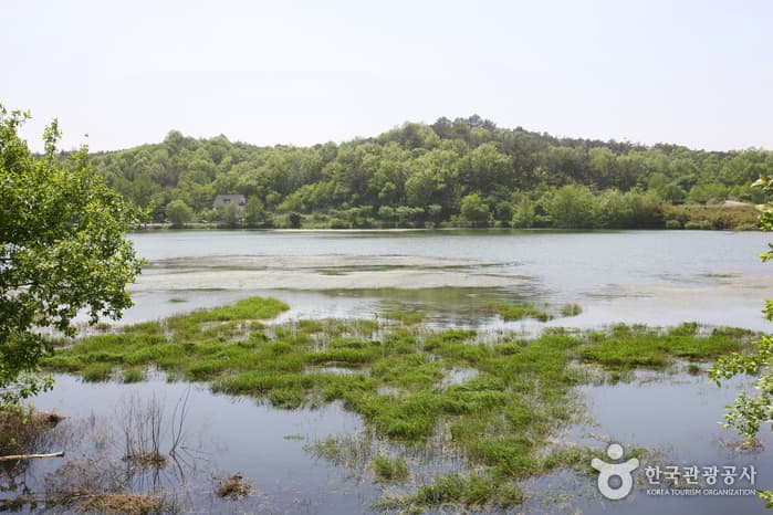전라북도_익산시_서동공원_052